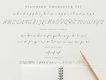 Hamillton Signature Font Demo