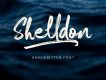 Shelldon Brush Script Font Demo