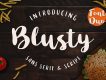 Blusty Script Font Demo