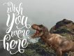 Kite Script Font Free Demo