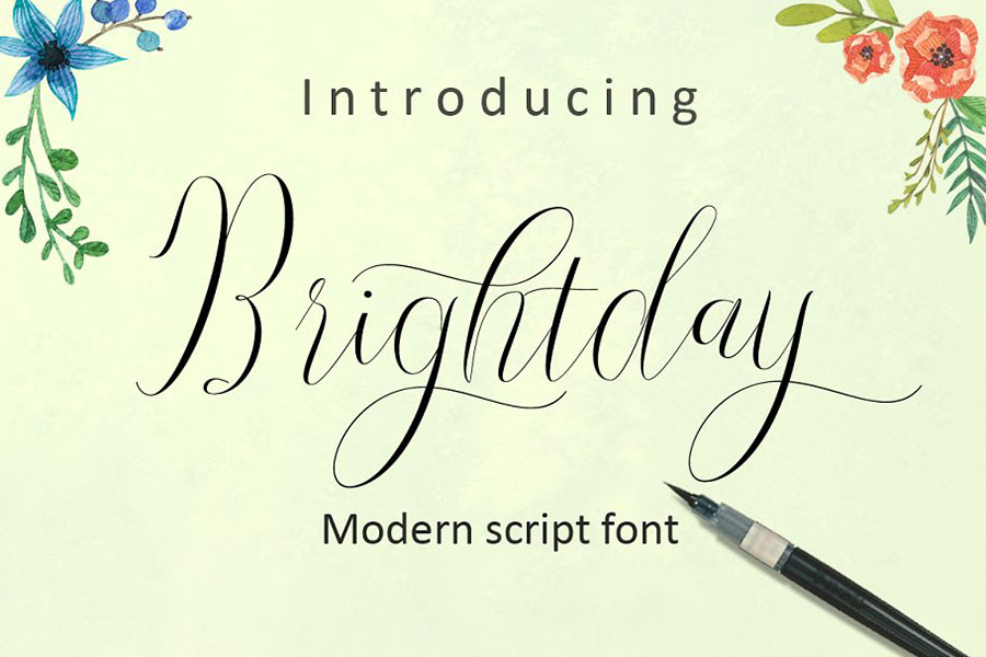 Brightday Script Free Demo