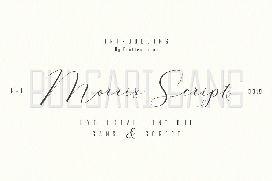 Dromadary Presentation Template