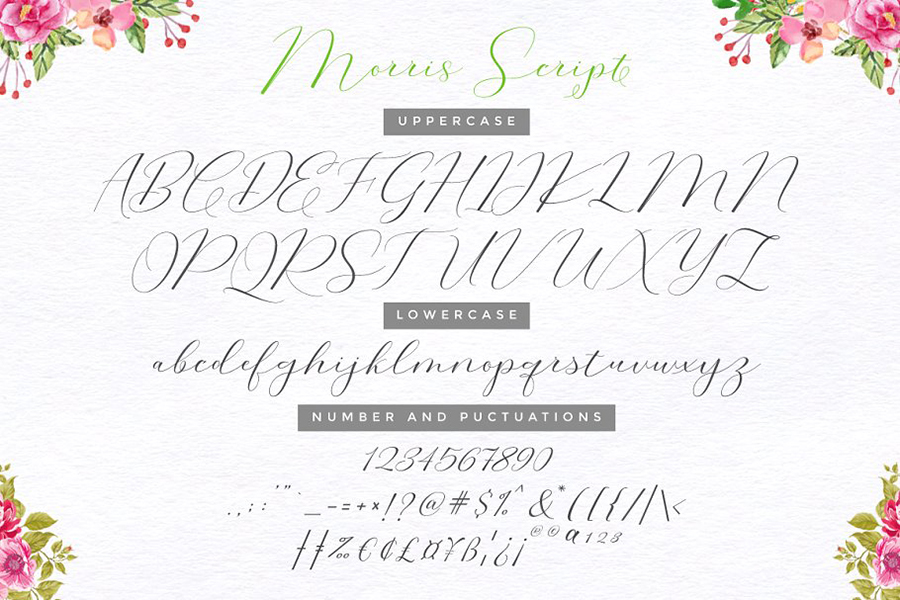 Morris Signature Script Font