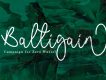 Malibbie Monoline Script