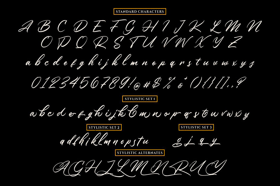 Winsberg Handlettering Script