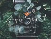 Orchest Luxurious Script Font