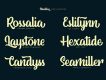 Standley Upright Script Font