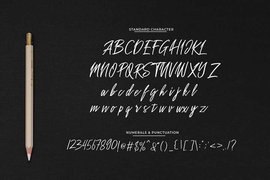 Sakoda Signature Script Font